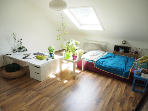 1 Zimmer Appartement in Mainzer Innenstadt, 55116 Mainz, Wohnung