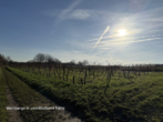 Schicke großzügige Unternehmervilla mit Blick und schönem Garten - Bild21