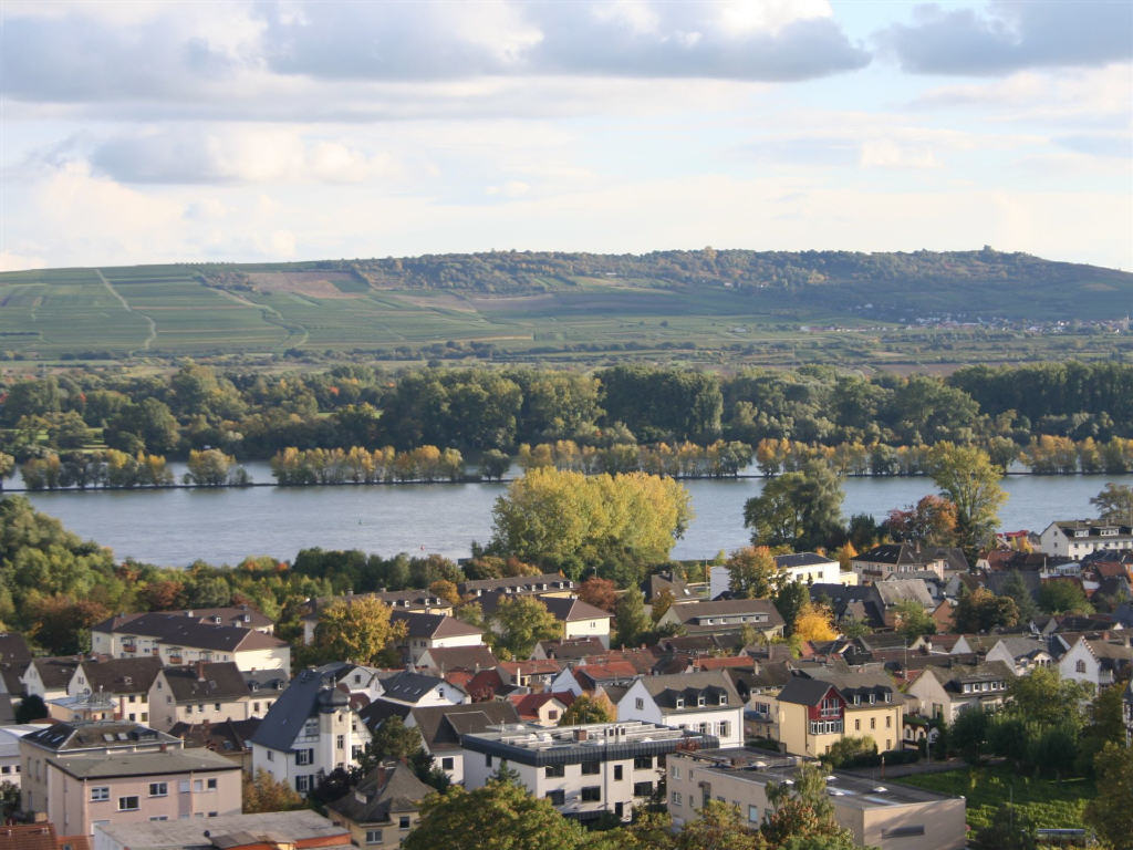 Gepflegtes 1 ZKB-Appartement mit Süd-Balkon und Rheinblick - Bild3