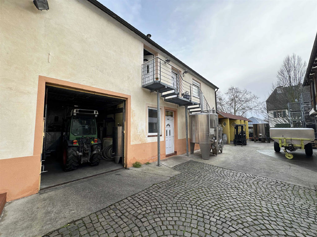 Schönes kleines Weingut in Oestrich-Winkel: Wohnhaus mit Probierstube, Einliegerwohnung und idyllischem Hof - Bild2