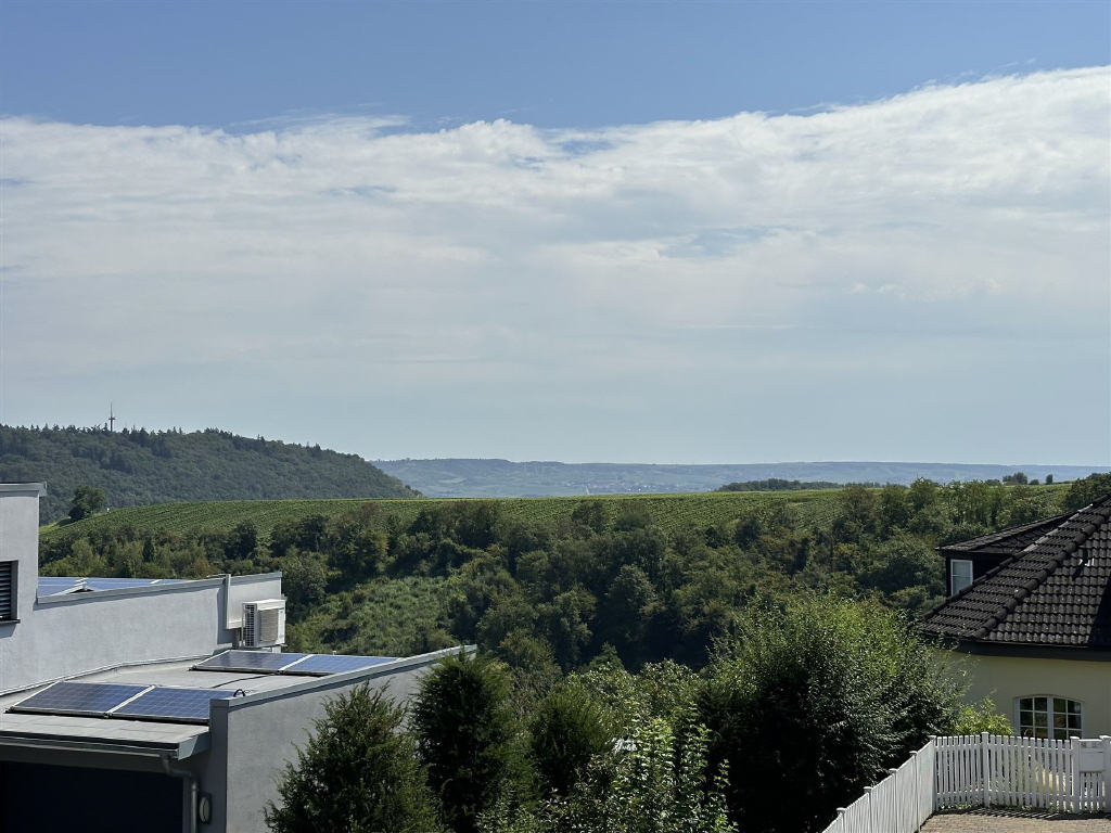 Großzügige Unternehmervilla mit schönem Fernblick in traumhafter Lage - Bild17