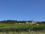 Freistehendes Einfamilienhaus mit Terrasse und Garten mit schönem Weinbergs- und Klosterblick - Bild3